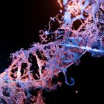 Genetics